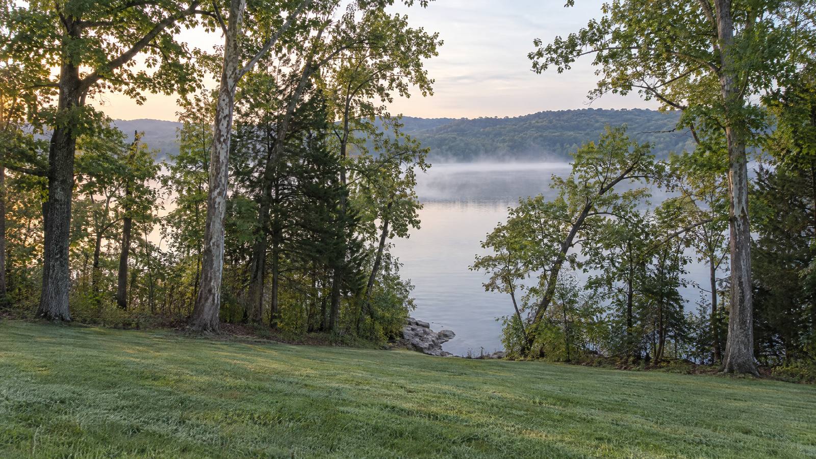 Back lawn sloping down to a calm, misty lake, a strip of mature shoreline trees left between the grass and the water